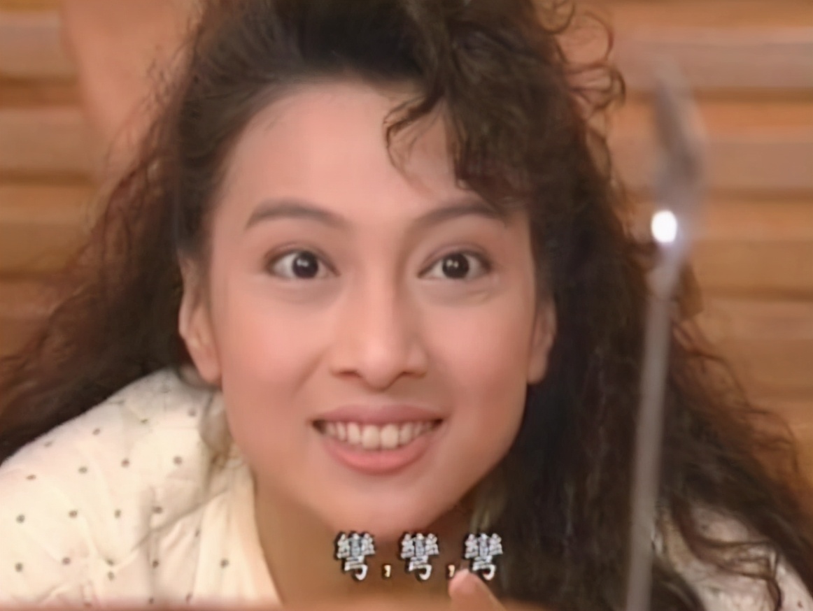 林以真因家有仙妻出名巅峰时刻隐退只愿做贤妻良母