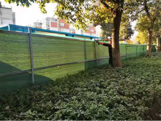 市园林中心联合多部门对施工围挡破坏树木行为进行查处