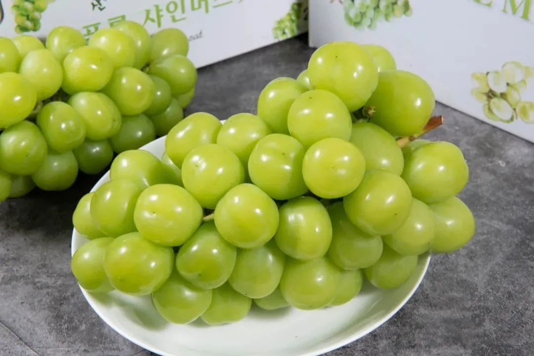 葡萄中的奢侈品来了韩国香印葡萄点燃你的味蕾