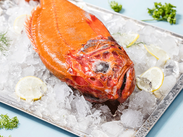 新西兰长寿鱼即将登岛!购买地点快戳