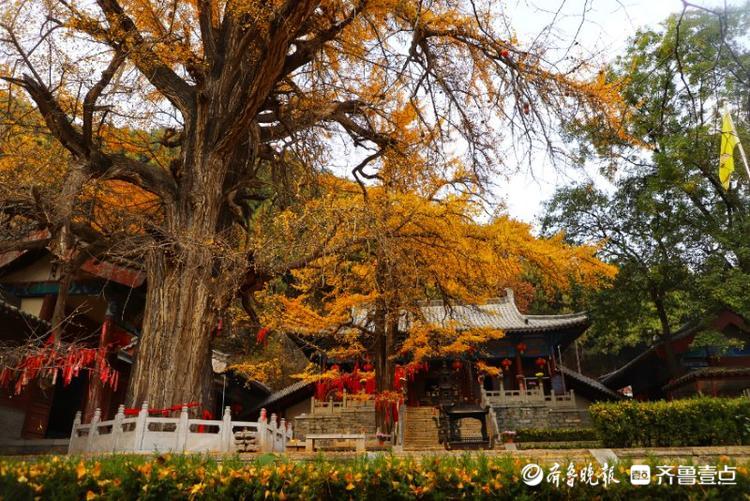 沂水县龙家圈街道初冬的灵泉寺