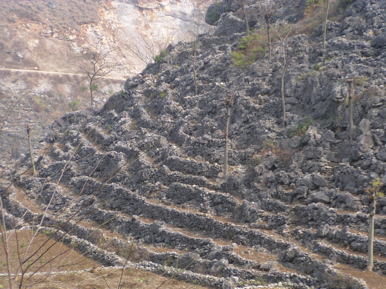 中国地质科学院岩溶地质研究所研究员杨奇勇介绍,石漠化地区治理前