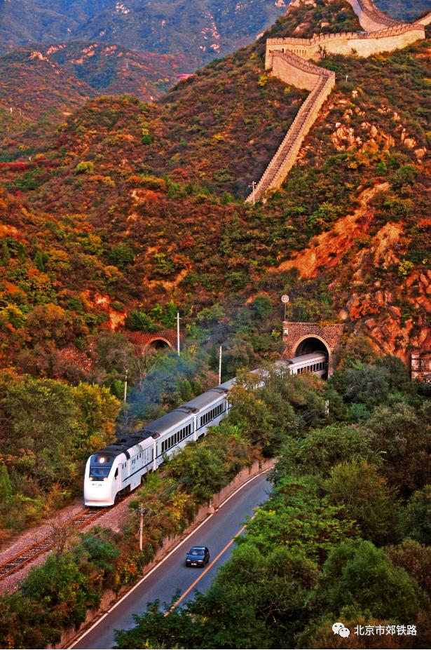 花海列车s2承包深秋绚烂秋景!沿途风景醉人,太太太美了