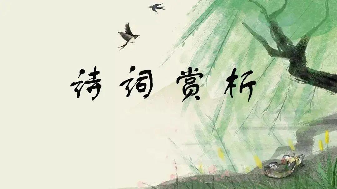 官梯全文免费阅读