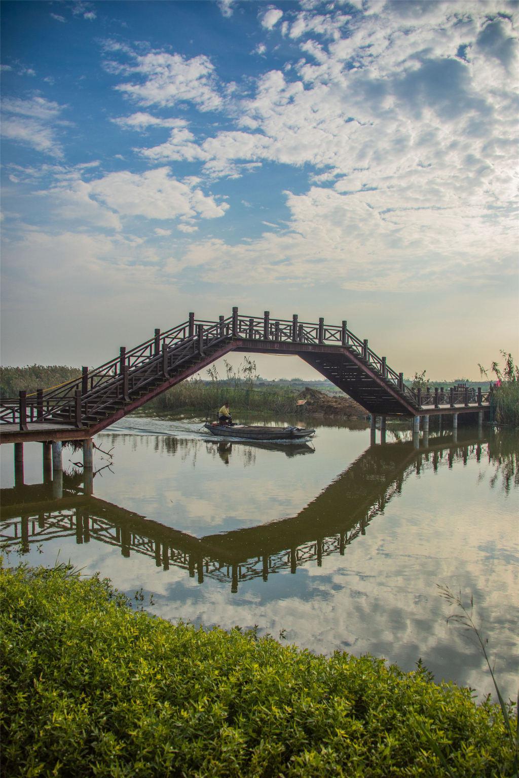 江苏泗洪:湿地芦花美如画