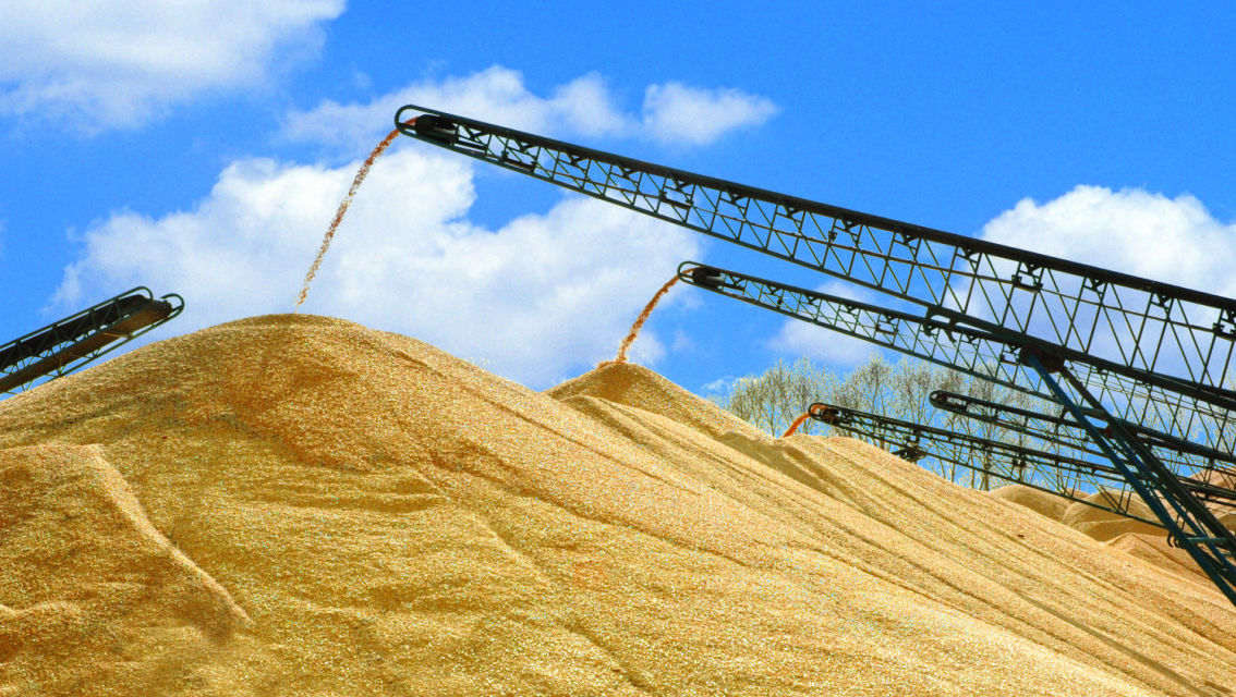 全力打造优质粮食产业链——安徽濉溪县走出"五优联动"特色之路