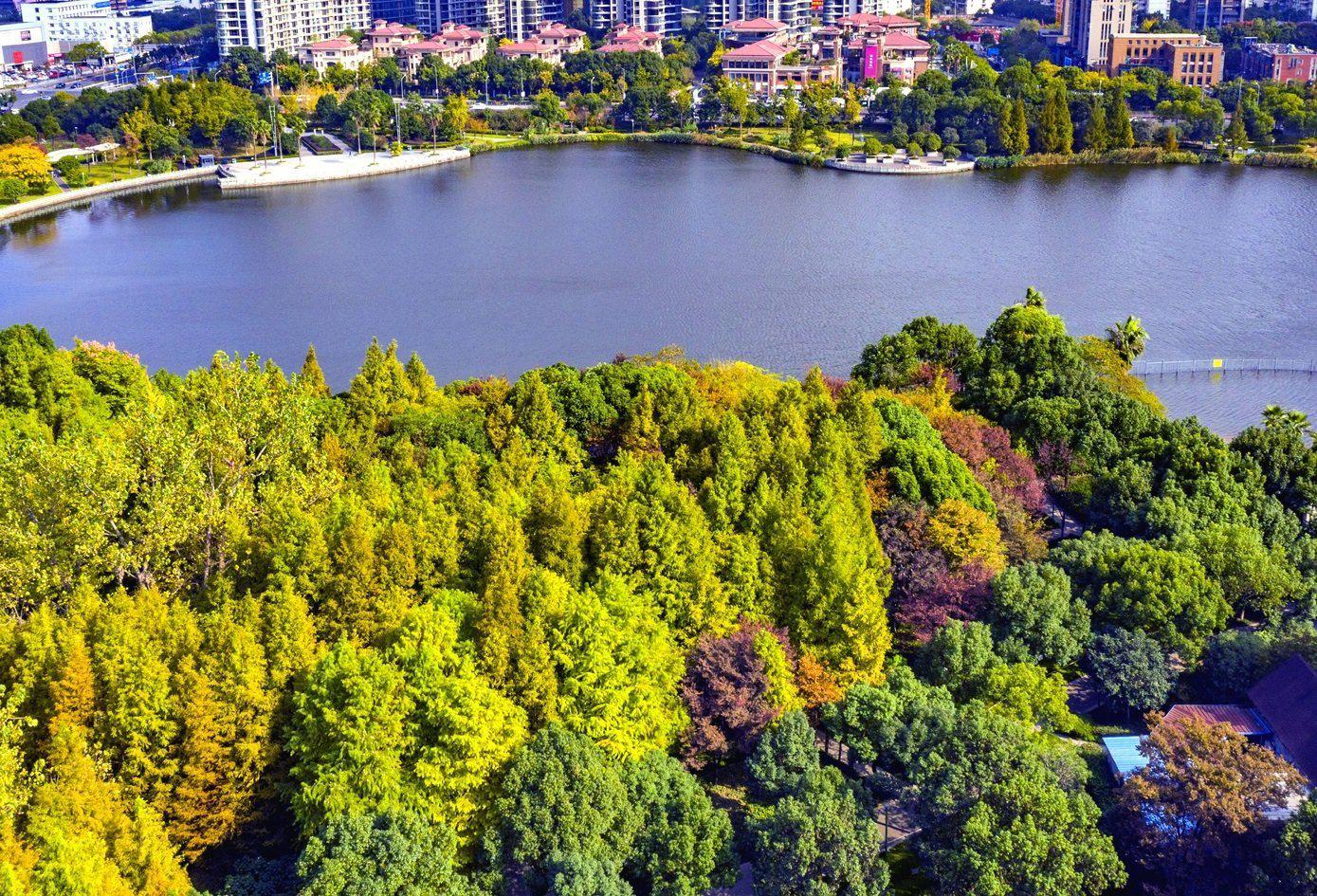 看 宁波日湖公园成了"调色板"