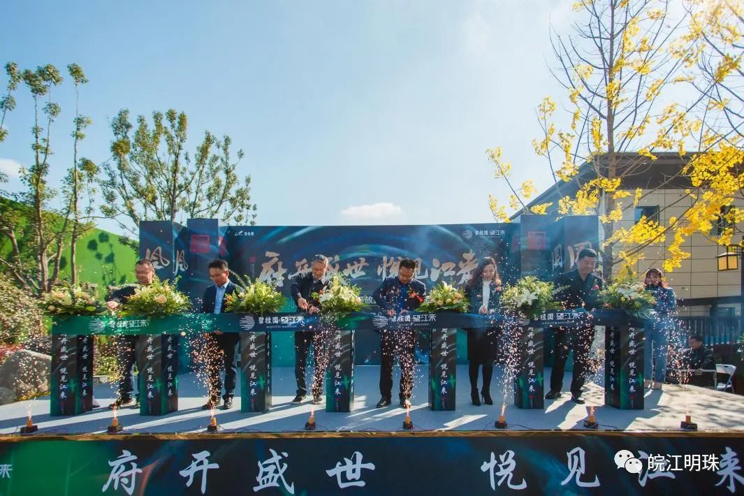 府开盛世 悦见江来 | 碧桂园·望江来国风美学示范区雅境公开