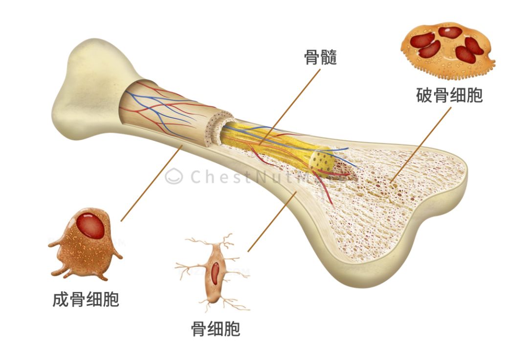 控糖,女性一生的必修课|糖尿病_新浪新闻