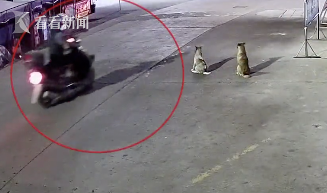 佛山平洲在哪里审车？