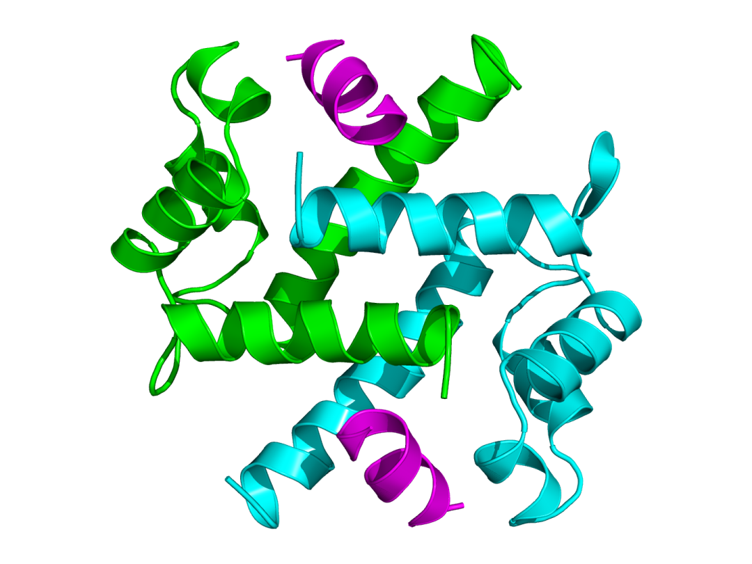 正文  如今,全球蛋白质数据库(protein data bank)中已经存入了超过14