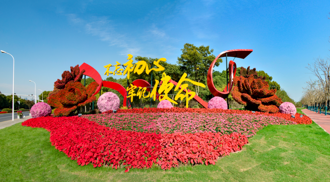 朴树如何种植