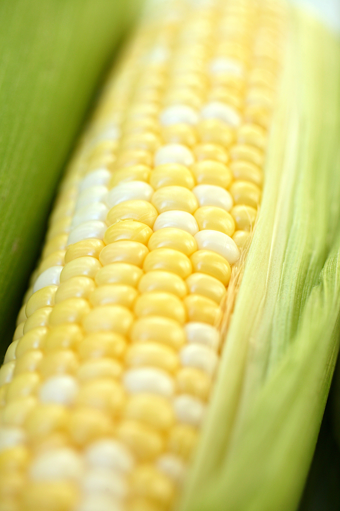 试试以下方法|玉米|苞谷|减肥_新浪新闻