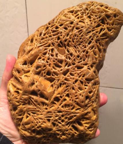 男子野外探险发现一罕见奇石,仔细一瞧后,连忙带回家