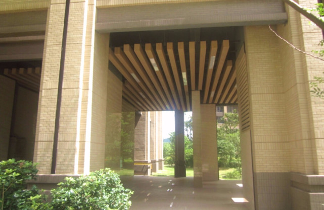 越来越多的开发商采取架空层的设计,顾名思义,就是整个一楼除了柱子和