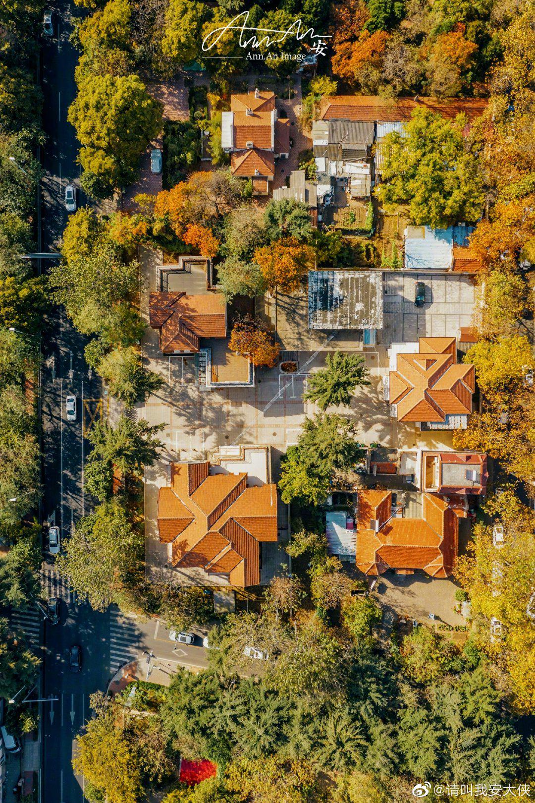 航拍青岛八大关和太平角公园 好喜欢青岛的秋天!