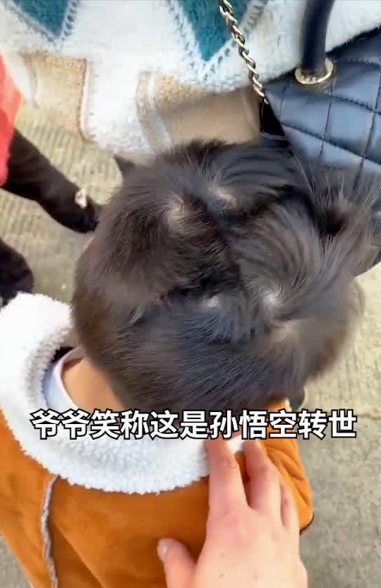 萌娃长5个发旋爷爷笑称孙悟空转世 网友:这是发型