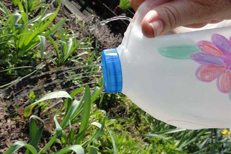 为啥以前的人用淘米水浇花长得特好现在用却长满小黑飞