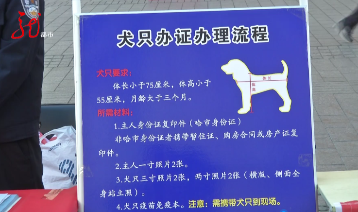 快给你家狗狗办个"身份证",这些地方可以办理↘|犬|狗_新浪新闻