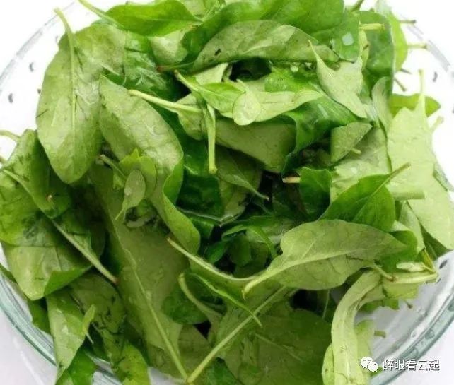 贫血怕这菜,等于天然"补血库",淡斑美白,补血润肤,比阿胶好