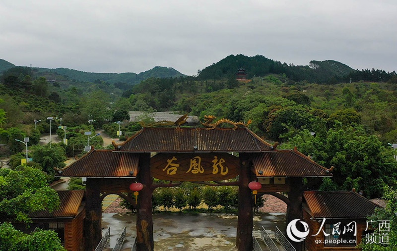 南宁良庆区:生态旅游促发展 农旅融合再升级