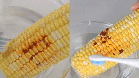 ▲ 普通牙刷一分钟 VS力博得一分钟