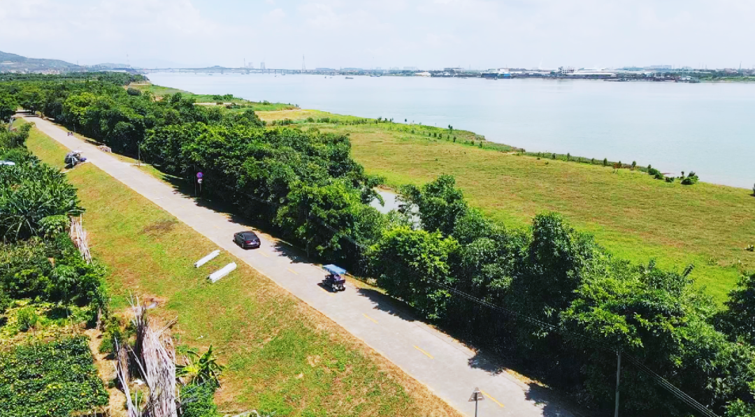 南海|平沙岛|西樵_新浪新闻