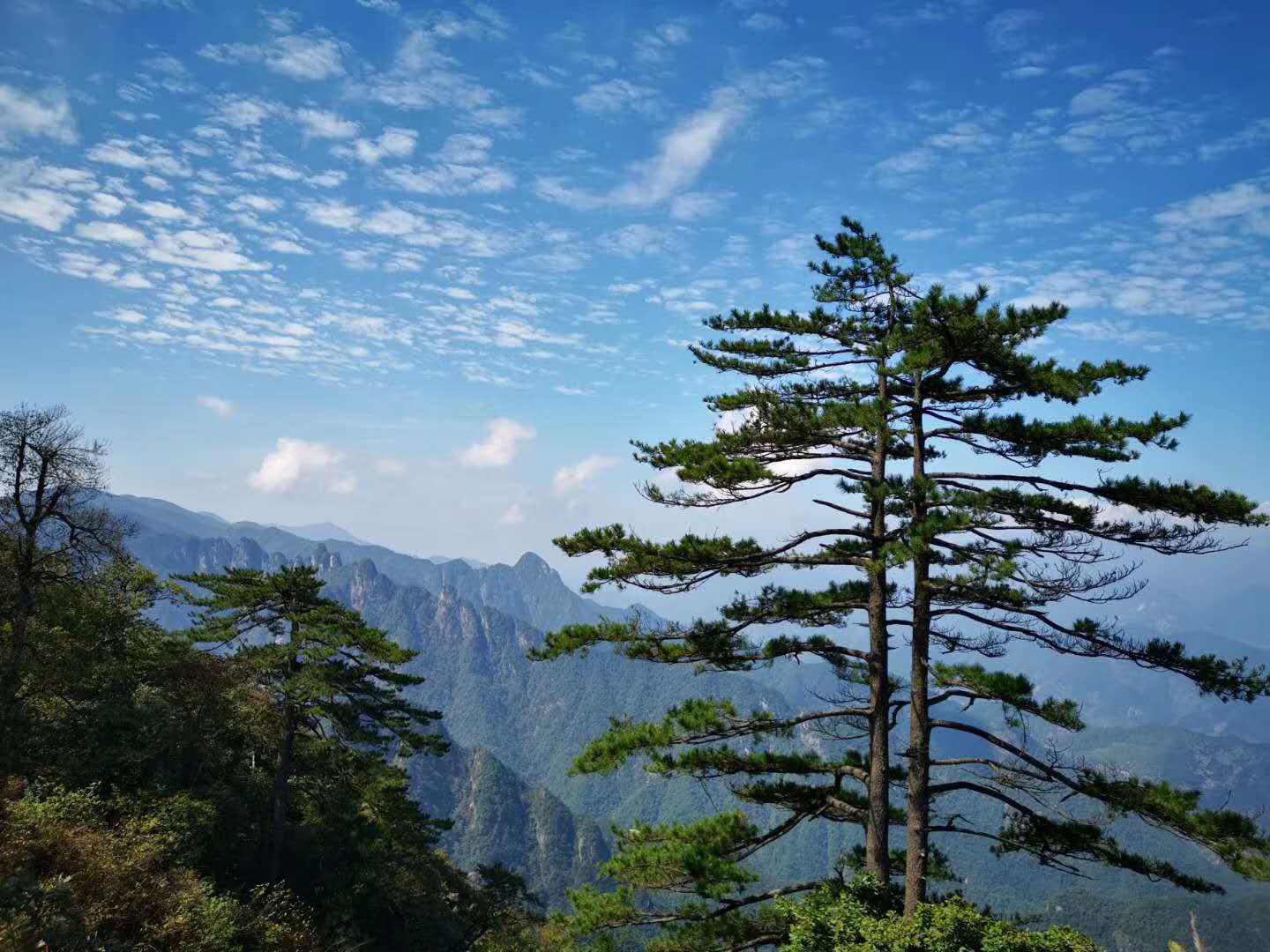 浙江杭州淳安牵牛岗上好风光
