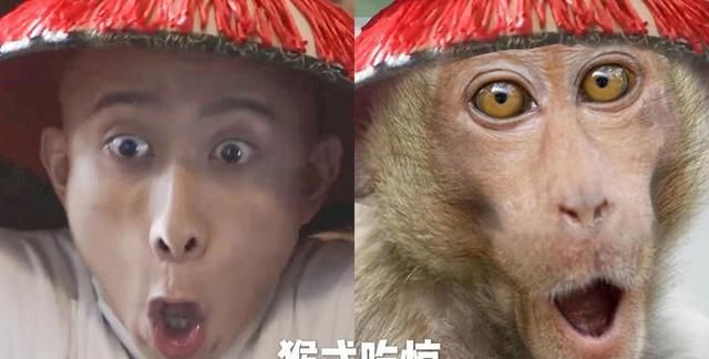 很多人都说张一山将韦小宝演成了智障的孙猴子,总是抓耳挠腮,挤眉弄眼