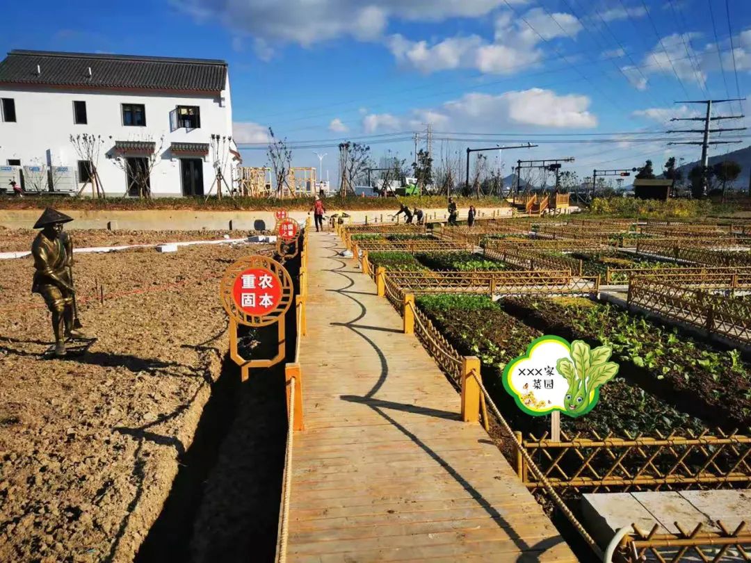 开心农场|农场|田园_新浪新闻