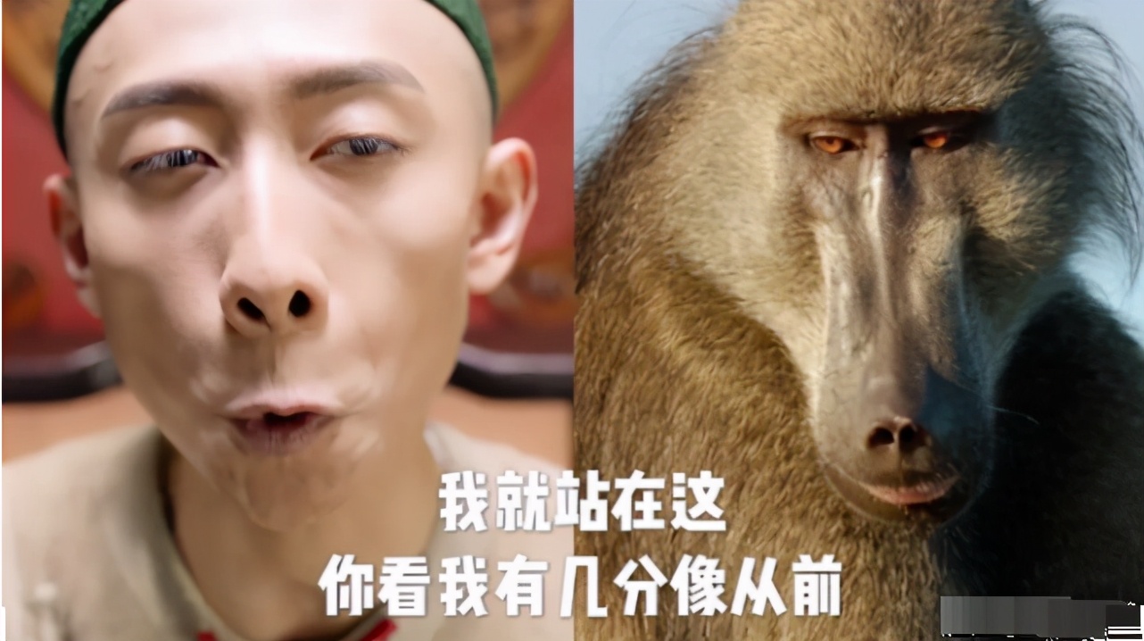 张一山应该是第一个,因瘦得像猴而被嫌弃的男艺人了