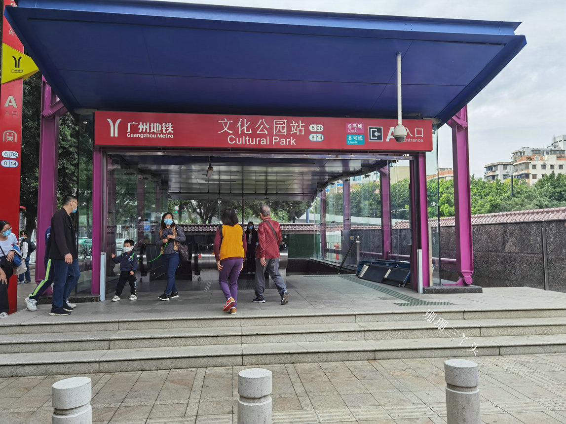 展示近450种菊花,地铁直达免门票|广州文化公园|菊花|丫头_新浪新闻