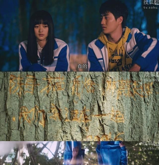 匆匆那年|陈寻|茴香_新浪新闻