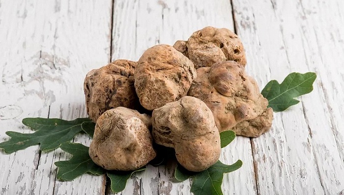 白松露赏味期到了圣诞季绚丽的红绿礼盒也上市了美食情报