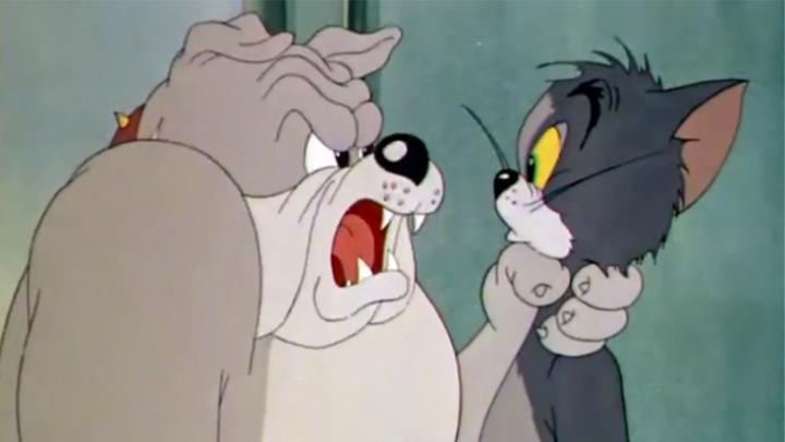 猫和老鼠:现在狗狗可是杰瑞的保镖,随时保护杰瑞,汤姆要倒霉了