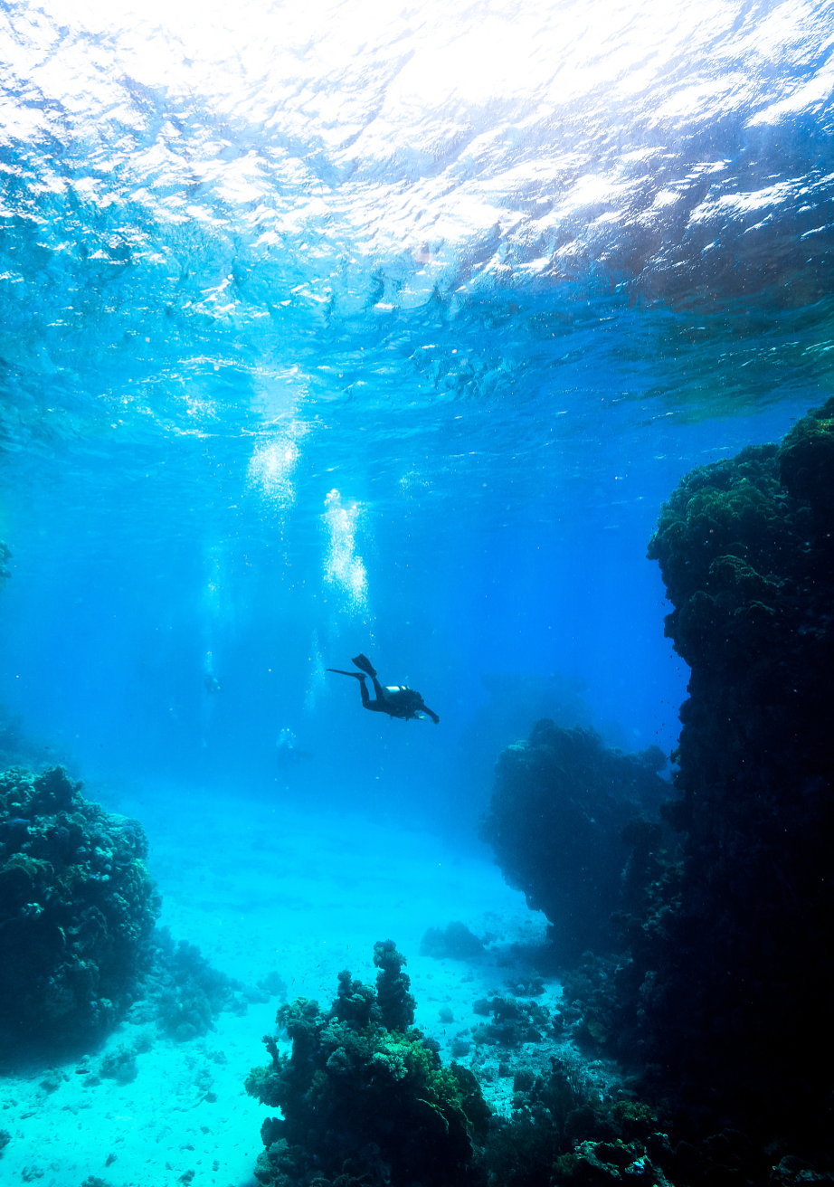 万米深海什么样 今天12点 这场直播带你看 深海实验室 深海 海洋 新浪新闻