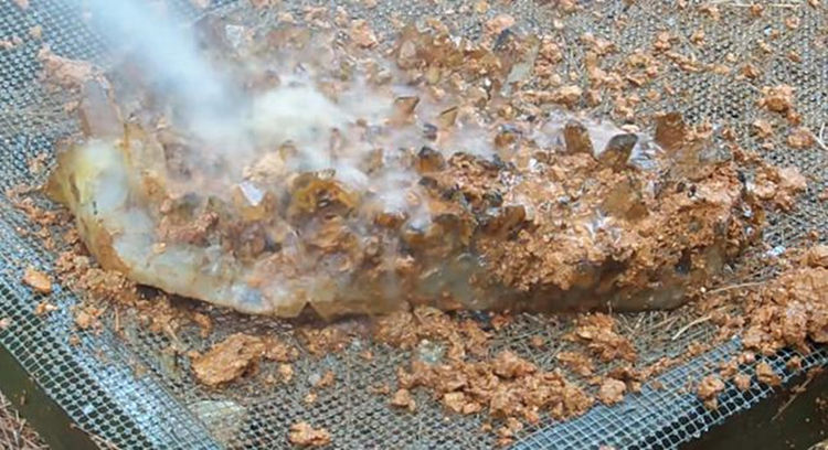 农夫劳作时挖出一块大黄泥,冲洗干净后两眼"发光"了