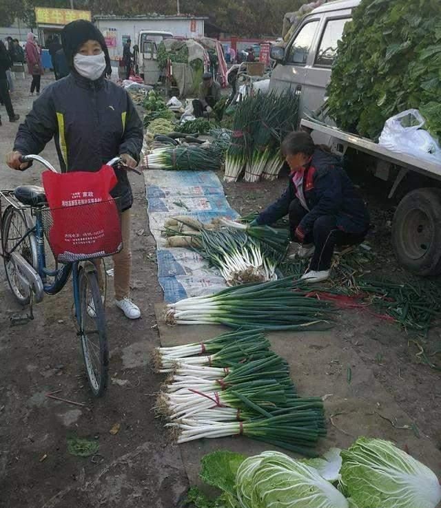 涨价|大葱|价格_新浪新闻