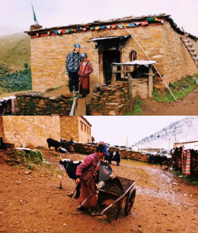 康巴小伙丁真真实家境曝光留在草原还是进娱乐圈是个难题