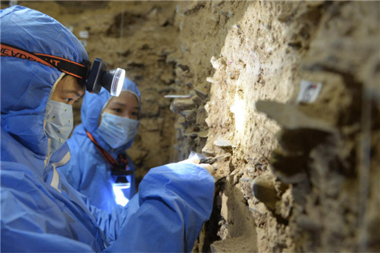     考古学家正在进行沉积物DNA样品采集。图片由兰州大学宣传部提供