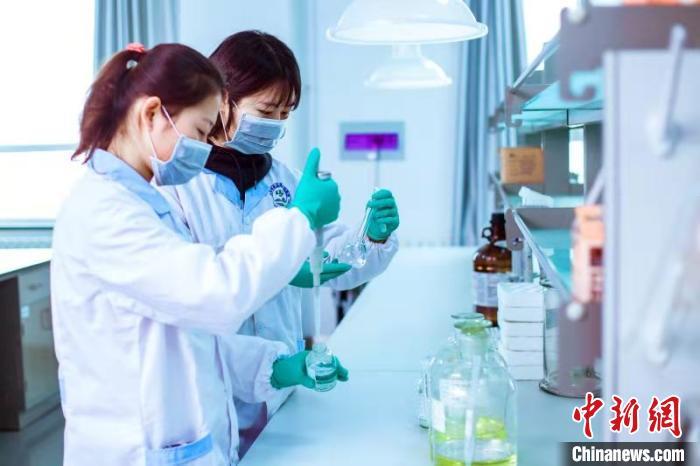 资料图：兰州市食品药品检验所工作人员进行检测。　 　史静静 摄