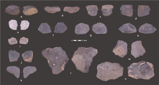     白石崖溶洞遗址发现的石片。图片由兰州大学宣传部提供