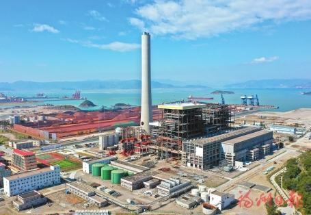 连江下宫镇 后起之秀羽翼丰逐梦深蓝天地宽 连江 福州 新浪新闻