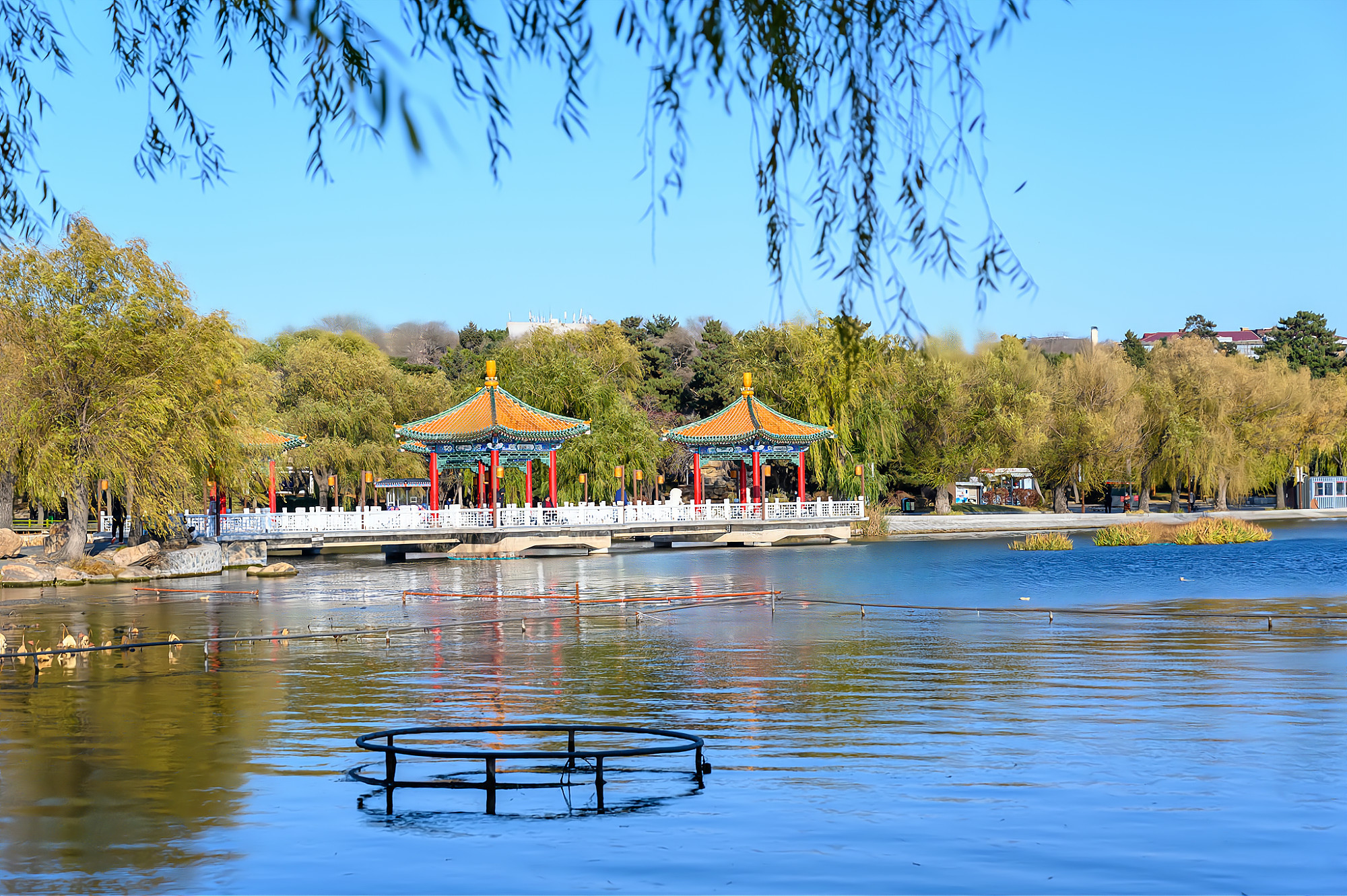 长春地处大东北,为什么取名"长春"?又被誉为"北国春城"