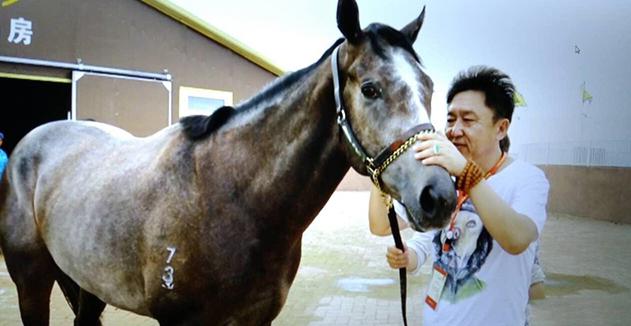 晒晒于谦如今住的豪宅,可能年纪变大了,在家生活都充满了禅意