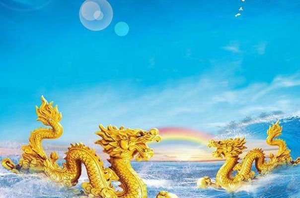 "大金龙"尤其是1976年的,晚年该何去何从,真是句句说到心坎!