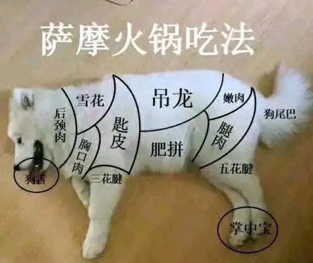 没想到网友们真的,做出了一张狗肉火锅的分布图.