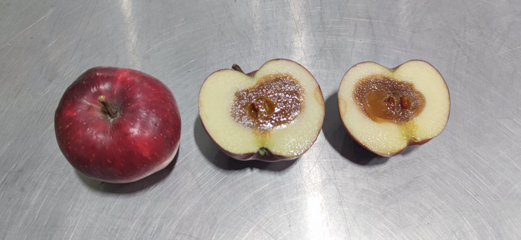 苹果"渣不渣",6秒钟就知道西安产地仓负责人刘秀琴介绍,不仅是分选