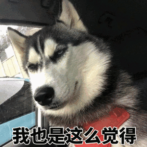 如果不行,那还是找个班上吧.
