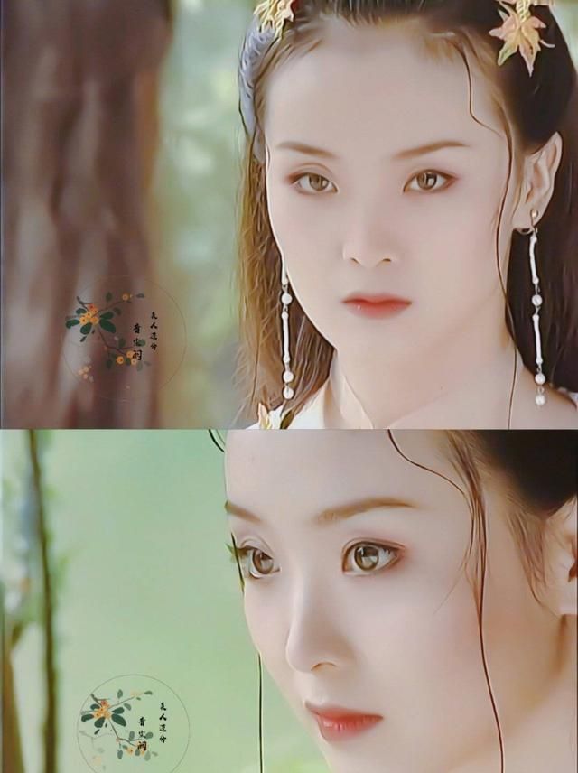 白飞飞应该是王艳的至今难以超越的古装角色